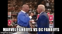 Would you agree that these memes are Marvel vs DC Comics fanboy argument/fights in a nutshell?