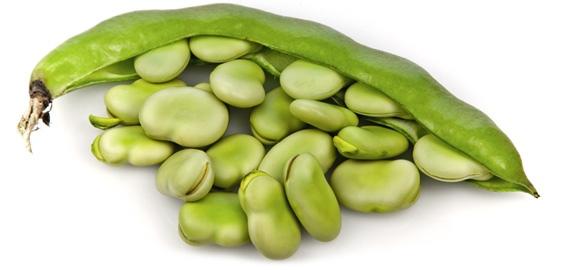 What's your favorite type of bean?