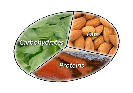 What are your macronutrient ratios?