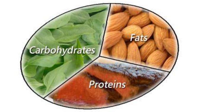 What are your macronutrient ratios?
