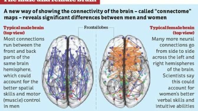 Are you surprised that there are literally neuroanatomical differences between men and women?