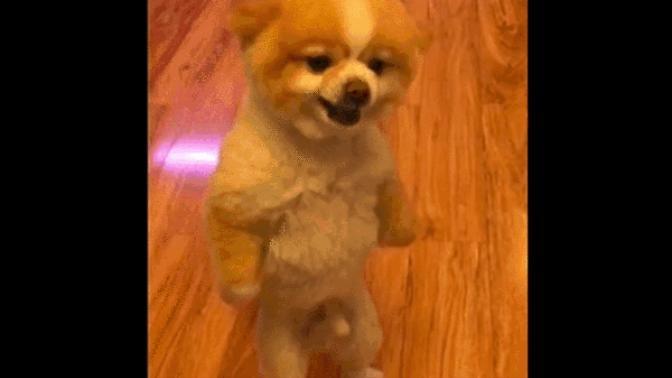 Guys do you ever come across as creepy when you cold approach women?