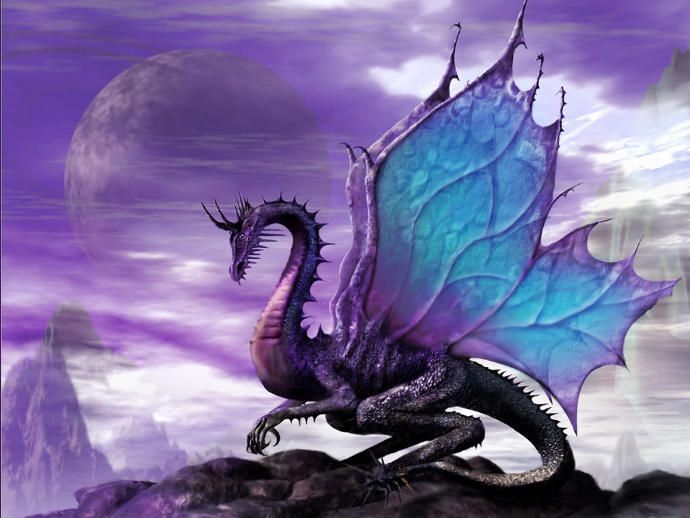 If you had a pet dragon what would you do?