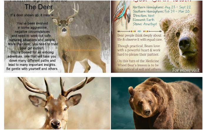What is your Native American Spirit Animal?