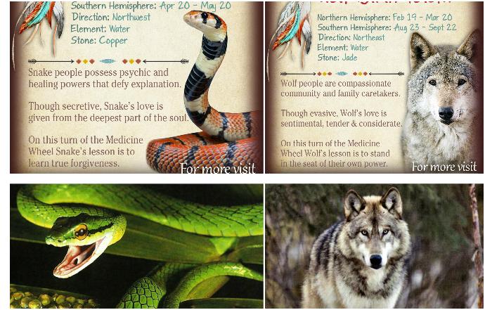 What is your Native American Spirit Animal?