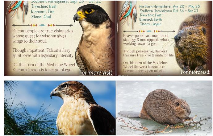 What is your Native American Spirit Animal?