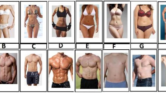 Which body type would you choose?