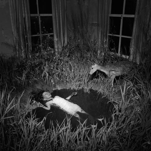 Can anyone explain this picture?