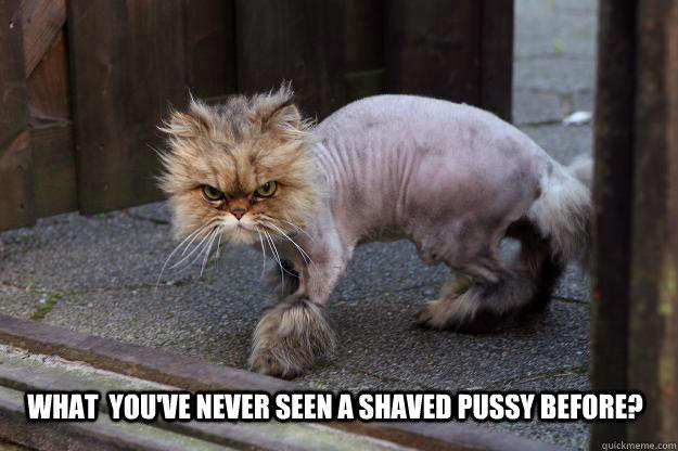 Girls, Which style hair do you have on your vaggy?