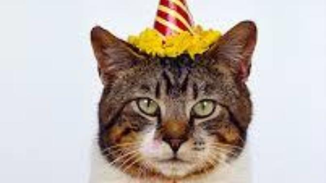 Does anyone else hate their birthday?