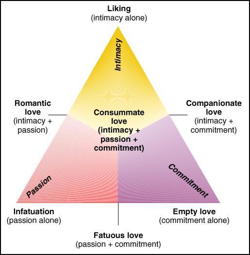Girls, based on this here triangle of love, what leads to what leads what for y'all?