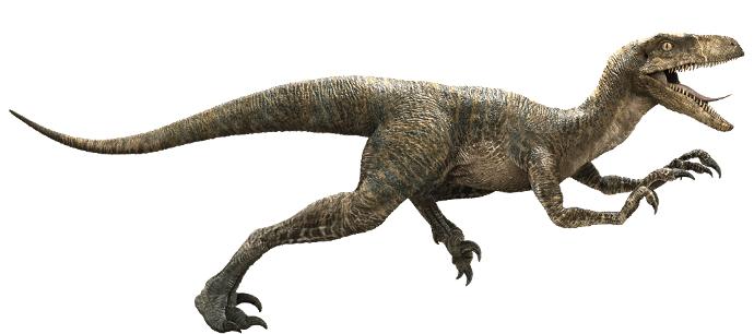 What is your favorite Dinosaur?