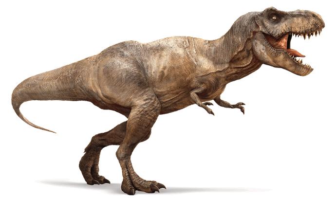 What is your favorite Dinosaur?