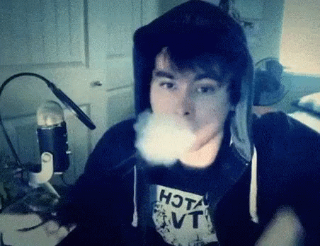 Do you find YouTuber "LeafyIsHere" attractive?