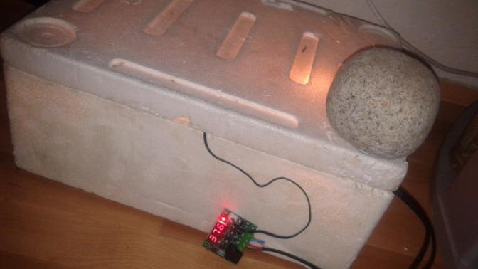 How is my amateur brooder :D?