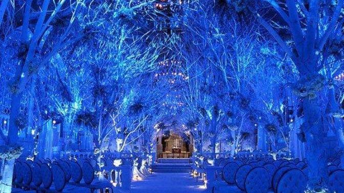 Girls, what would you do if you found out your fiance wanted to have a different themed wedding from your dream wedding?