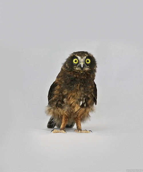 Do you give any hoots about xPer points? I mean do you really?
