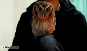 Do you give any hoots about xPer points? I mean do you really?