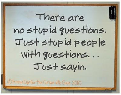 Why do people say 'there are no stupid questions', when there clearly are...?