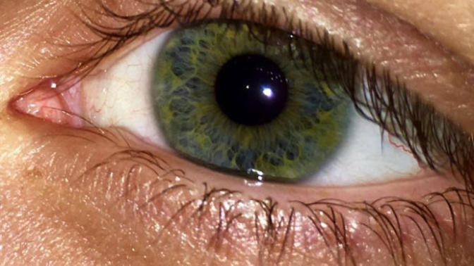 Show off your eyes! What eye color do you guys have?