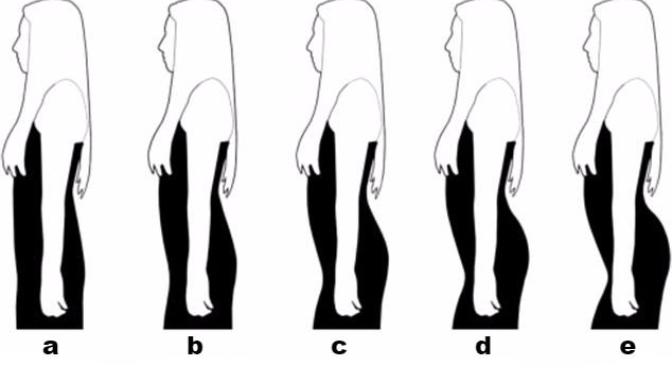 Which women's body type do you prefer?
