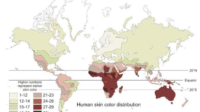 Proof that most Italians, Spaniards, Portuguese, Greeks, and South Slavs are not white. Your thoughts?