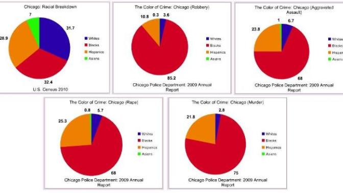 Chicago crime by race. Blacks and Hispanics commit more crimes than others. Why?