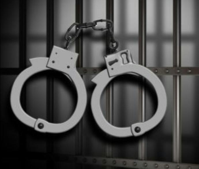 By age 23, almost a THIRD of Americans have been arrested for a crime. Do you think we overcriminalize in this country?