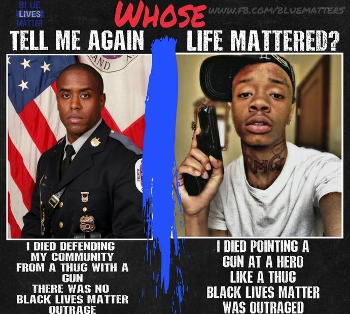 As the BLM engage in another round of Violence, Rioting, Burning and Looting do you agree that its yet more proof that they are Domestic Terrorists?