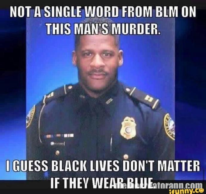 As the BLM engage in another round of Violence, Rioting, Burning and Looting do you agree that its yet more proof that they are Domestic Terrorists?