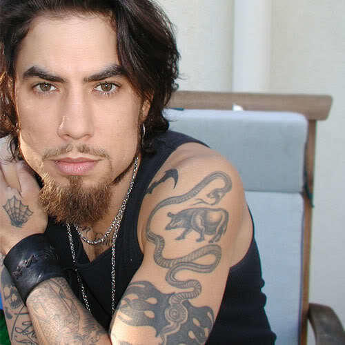 Ladies, do you find Dave Navarro attractive?