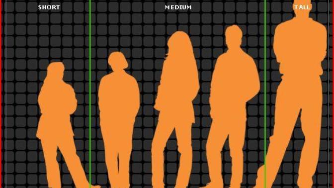 Are you short, tall, or medium-height?