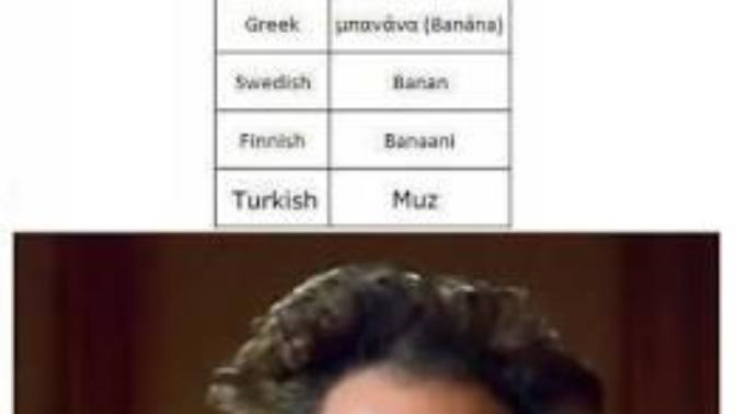 What do you think about Turkish Transformer?