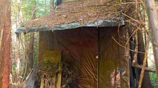 A cabin in the woods found in California Community forest?