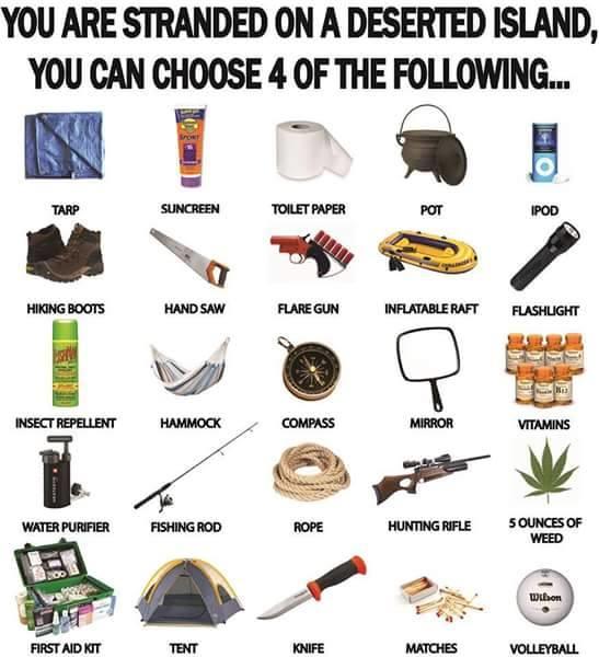 You are stranded on a deserted island, you can only choose 4 items. Which ones? 