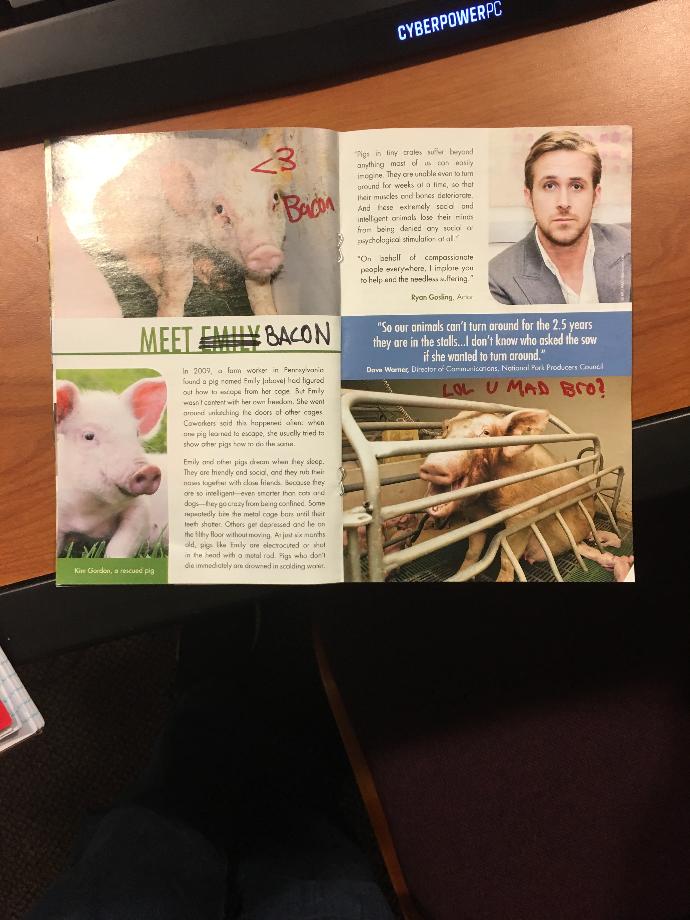 Do you think meat eaters need to take a stand against hippie non meat eaters?