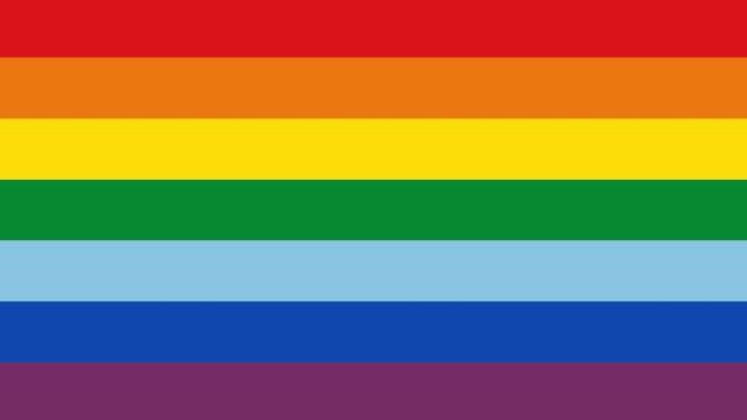 Dear LBGTQ, I have problem with the rainbow flag and I'm gay, opinions on this?