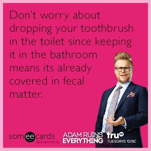 Do You Watch Adam Ruins Everything?¿?