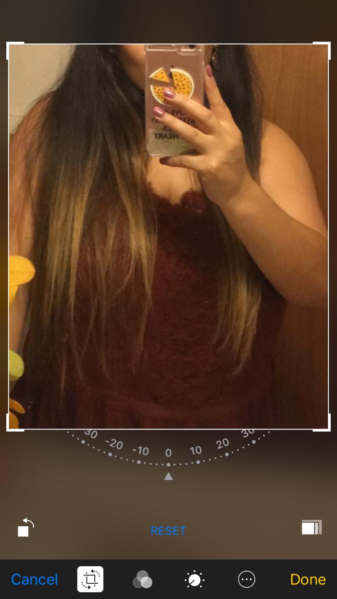 Should I cut my hair? 