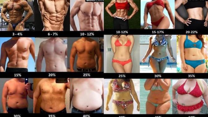 Men and women, what's the most attractive body fat for you?