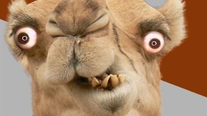 Do YOU have yellow teeth?