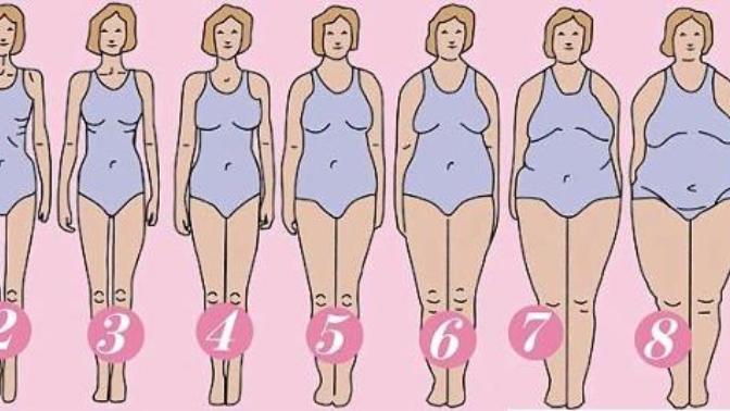 What's your ideal female body type?