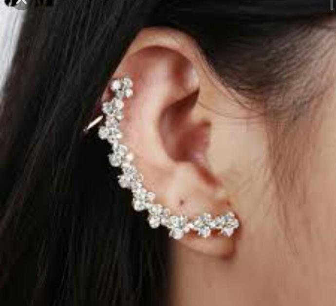 Do guys find this kind of ear piercing attractive?