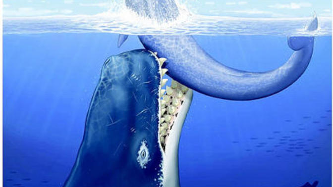 Question for anyone who's interested in paleontology, should Nat Geo, Discovery, or BBC make a documentary about the Leviathan Whale?