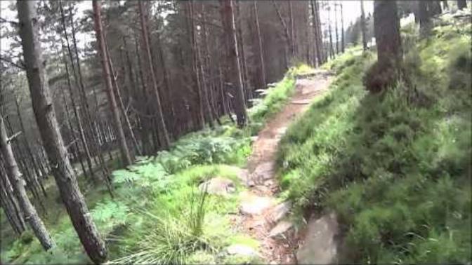 Rate my mountain bike run?