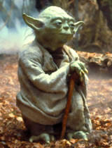 How many of you all like yoda?