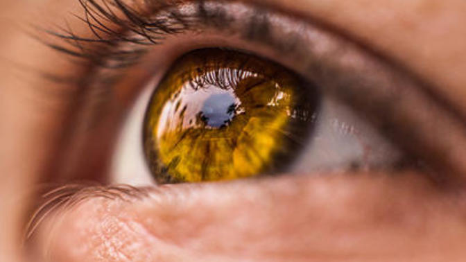 What color eyes would you choose: Amber, Hazel, or Green? Why?
