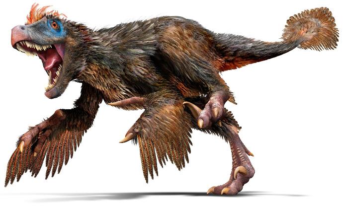 What kind of Dromaeosaur do you think the 