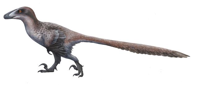 What kind of Dromaeosaur do you think the 