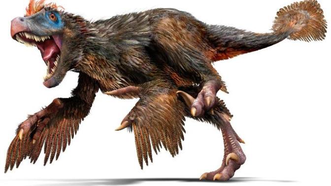 What kind of Dromaeosaur do you think the "Velociraptors" in Jurassic Park where?